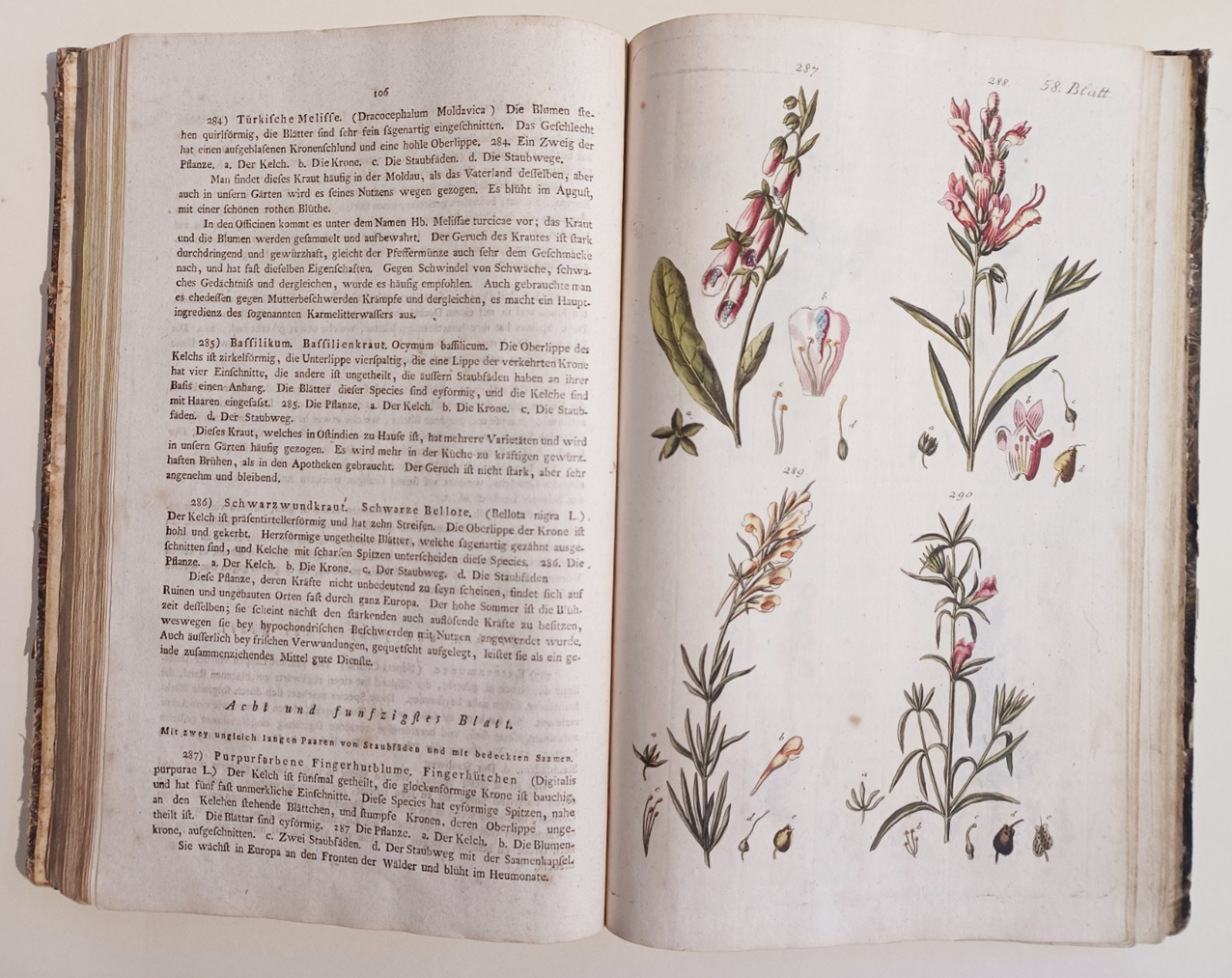 Handbuch der Pharmaceutischen Botanik