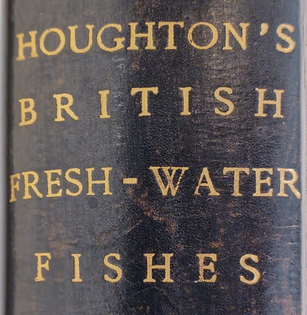 British Freshwater (Fresh Water) Fishes, Illustrated With a Coloured Figure of Each Species Drawn From Nature By A. F. Lydon and Numerous Engravings