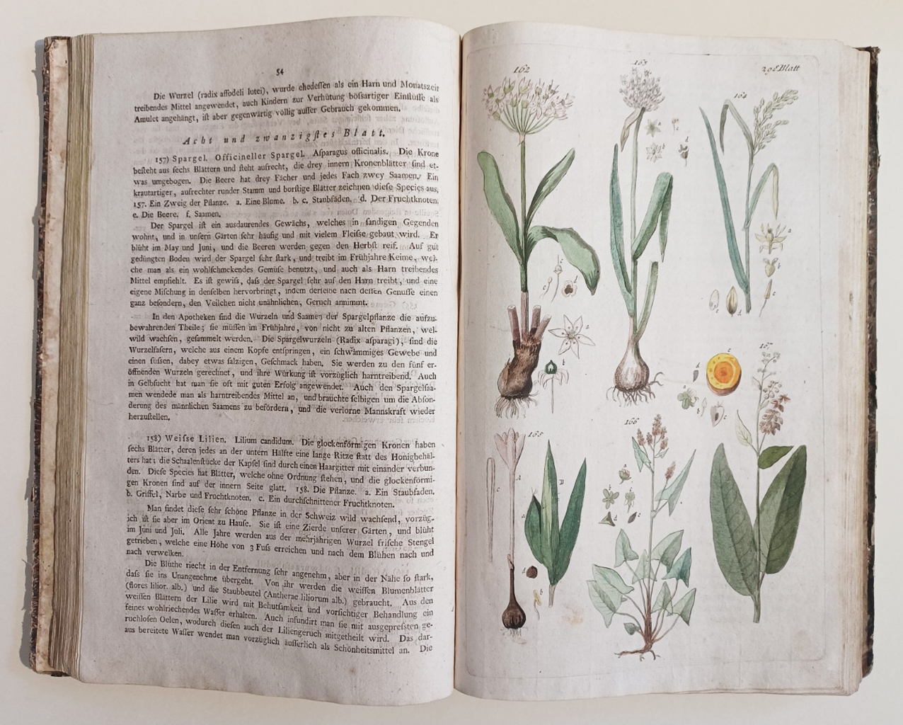 Handbuch der Pharmaceutischen Botanik