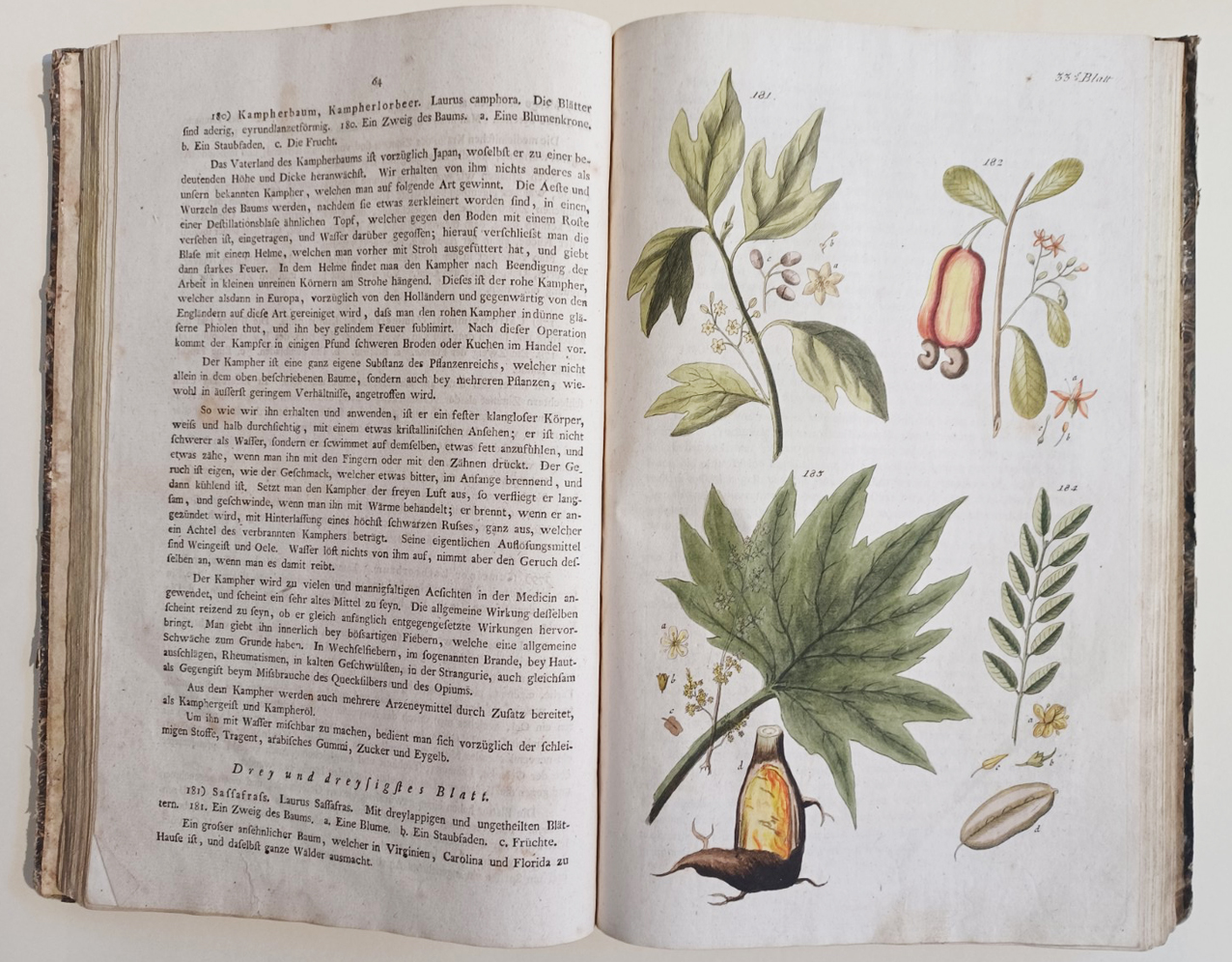 Handbuch der Pharmaceutischen Botanik