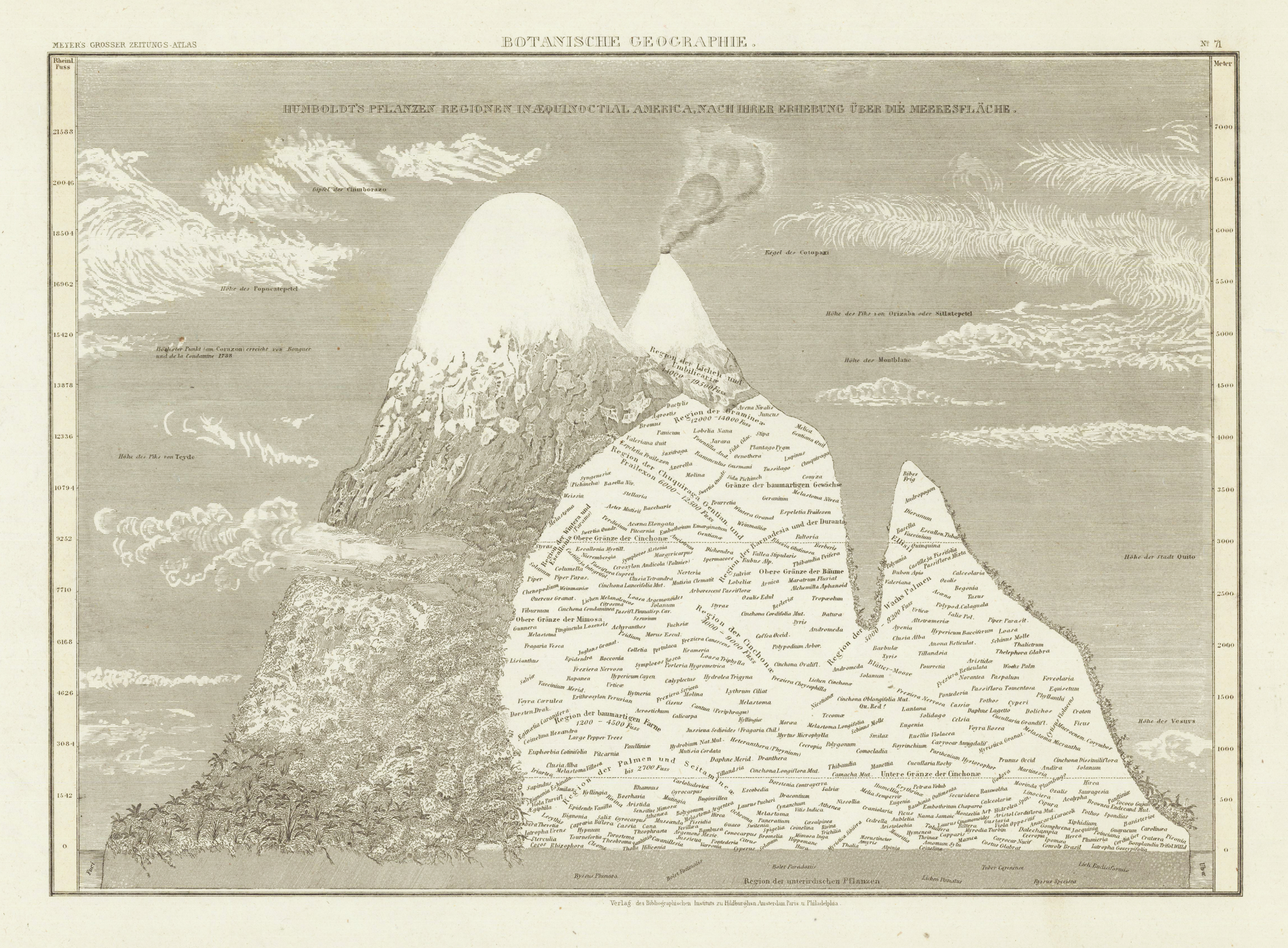 Botanische Geographie. - Humboldt´s Pflanzen Regionen in Aequinoctial America, nach ihrer Erhebung über die Meeresfläche.