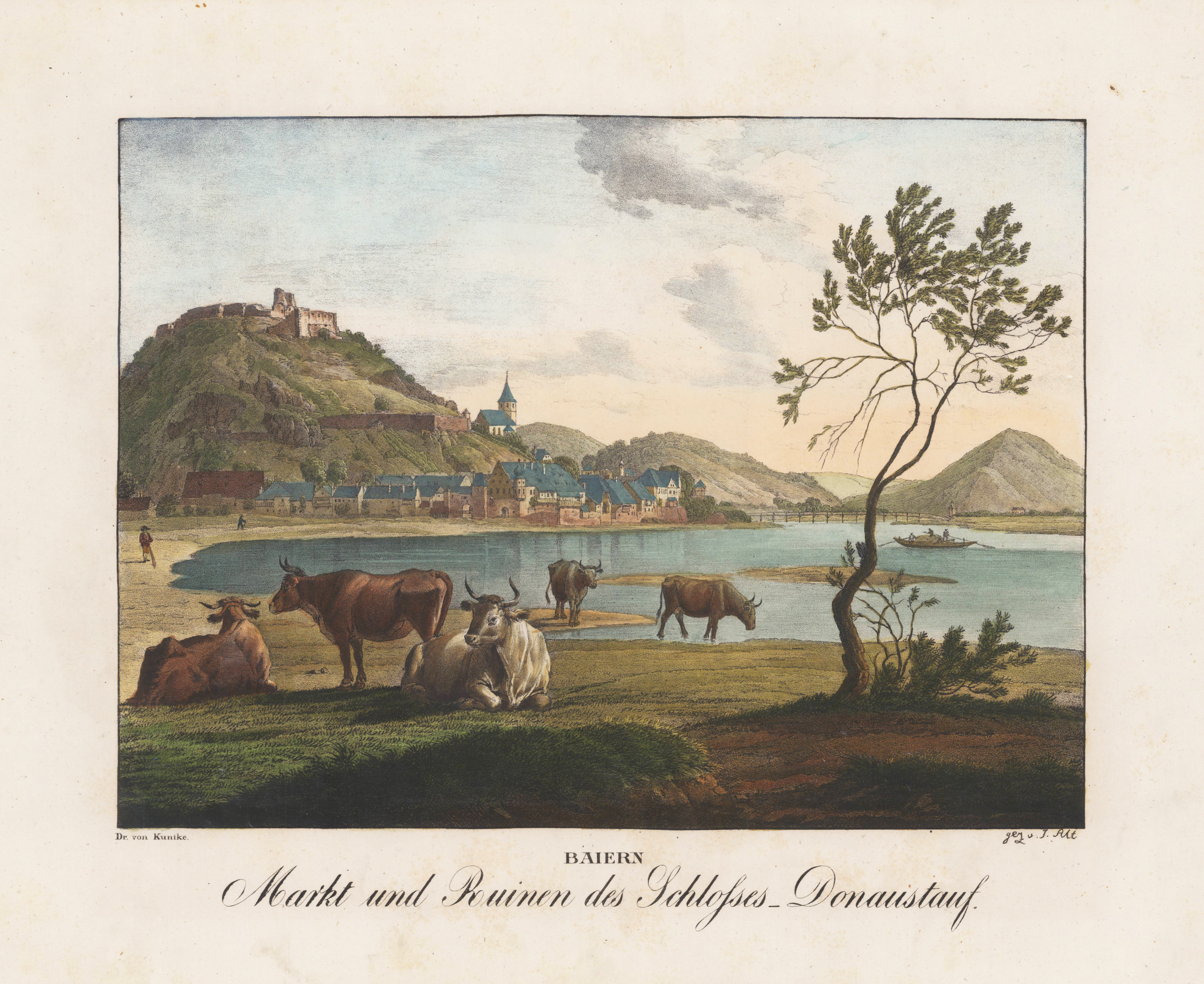 Baiern - Markt und Ruinen des Schlosses Donaustauf