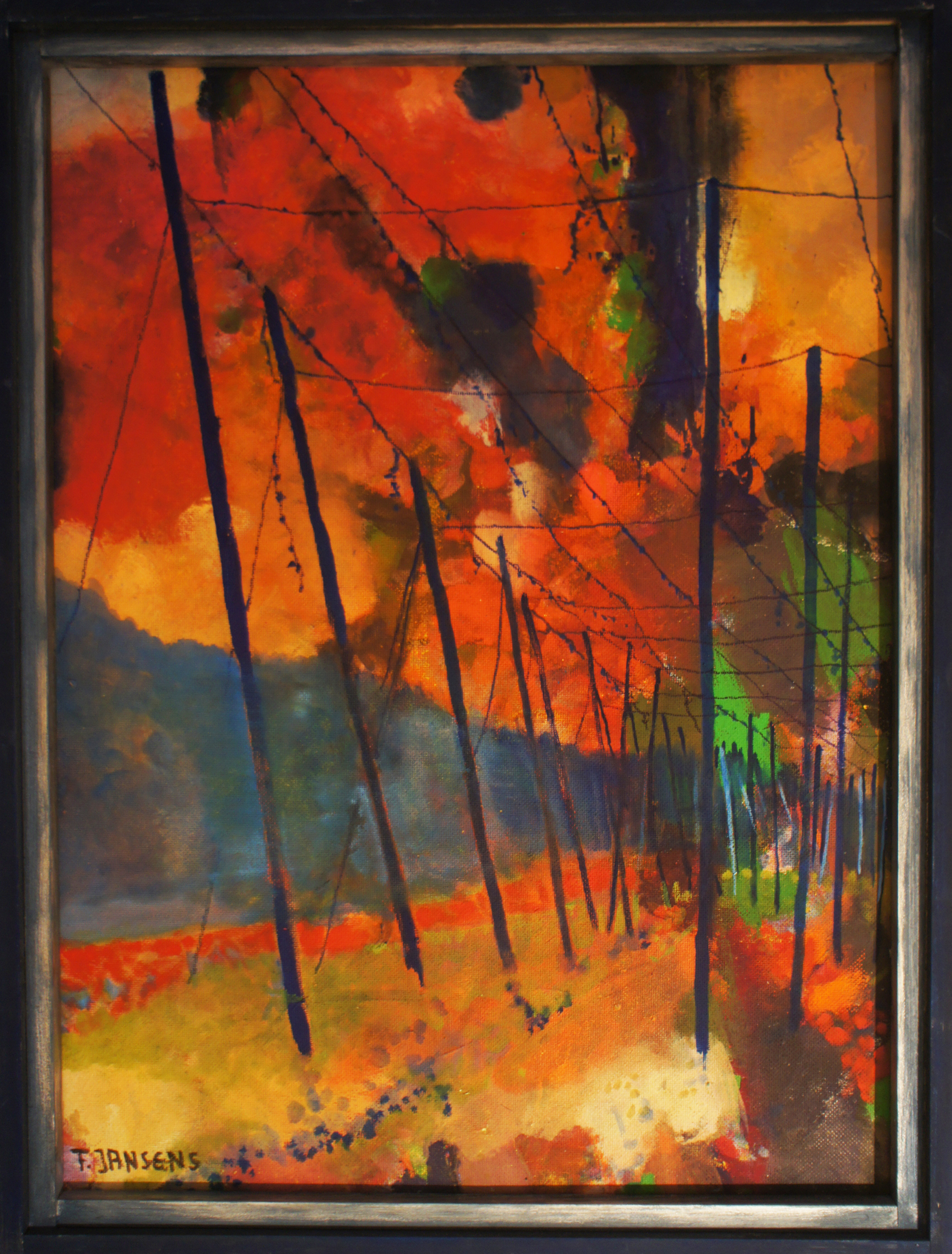 „Hopfenfelder in der Hallertau mit blutrotem Abendhimmel"