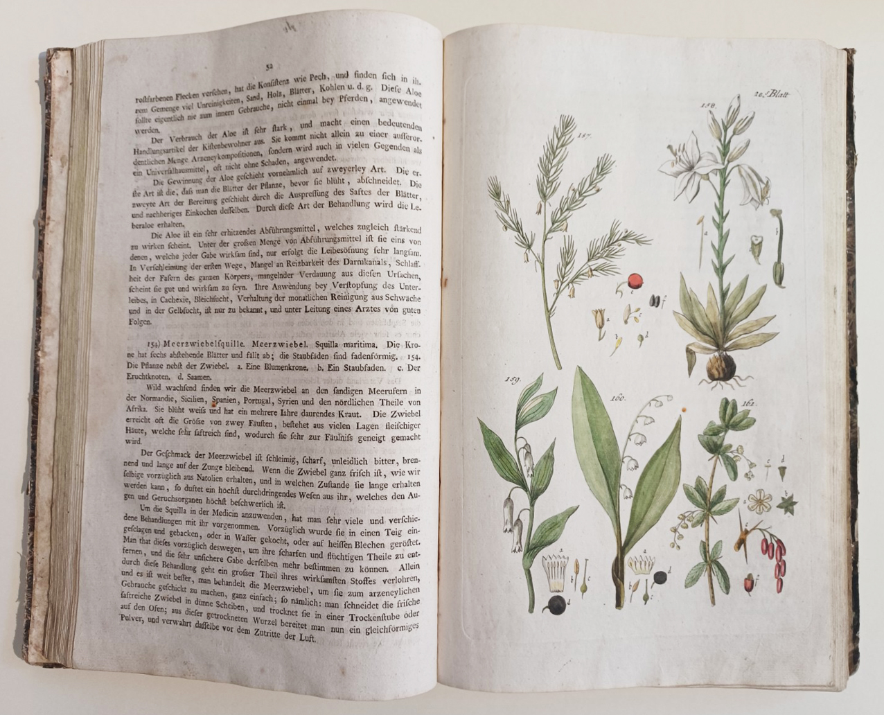 Handbuch der Pharmaceutischen Botanik
