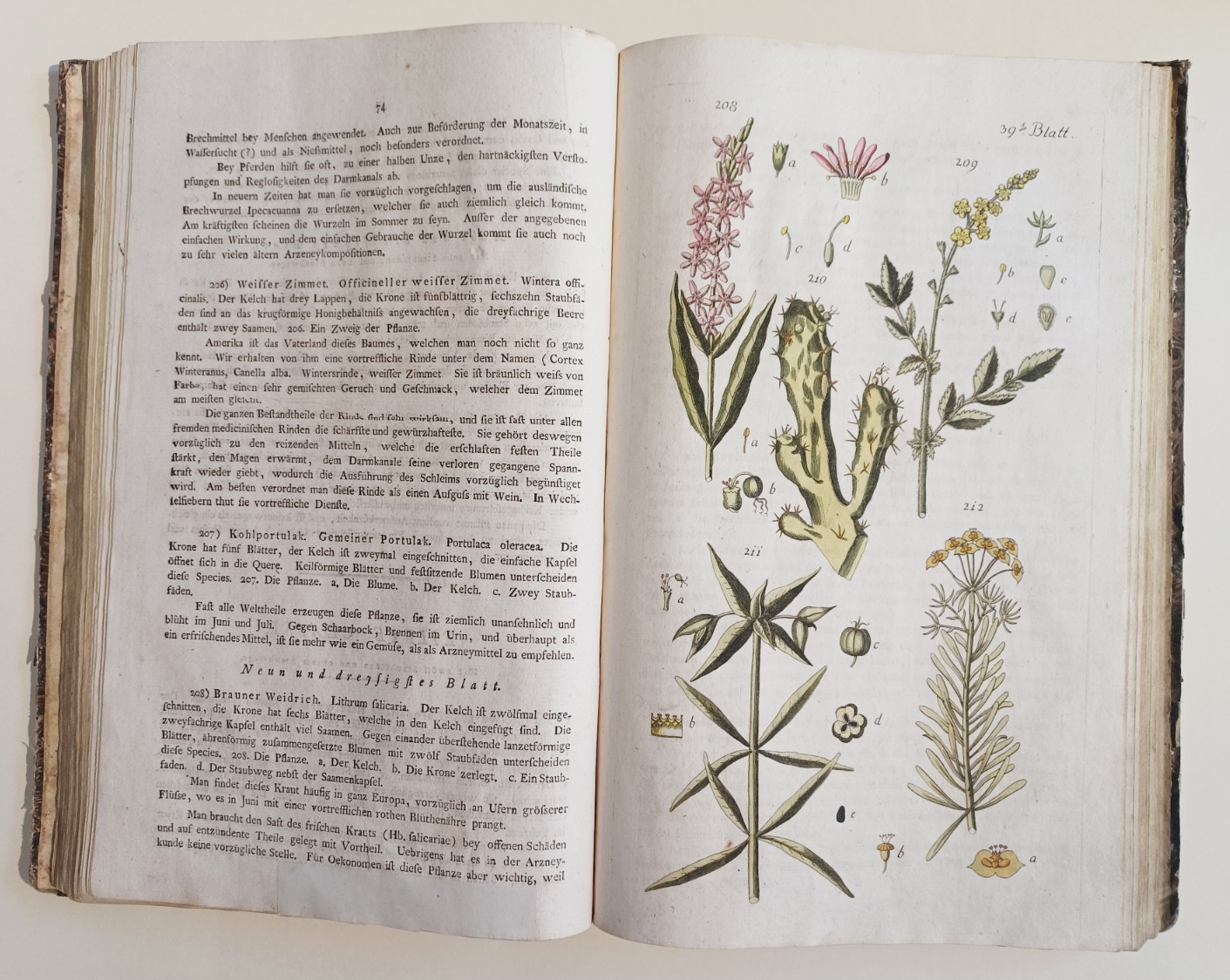 Handbuch der Pharmaceutischen Botanik