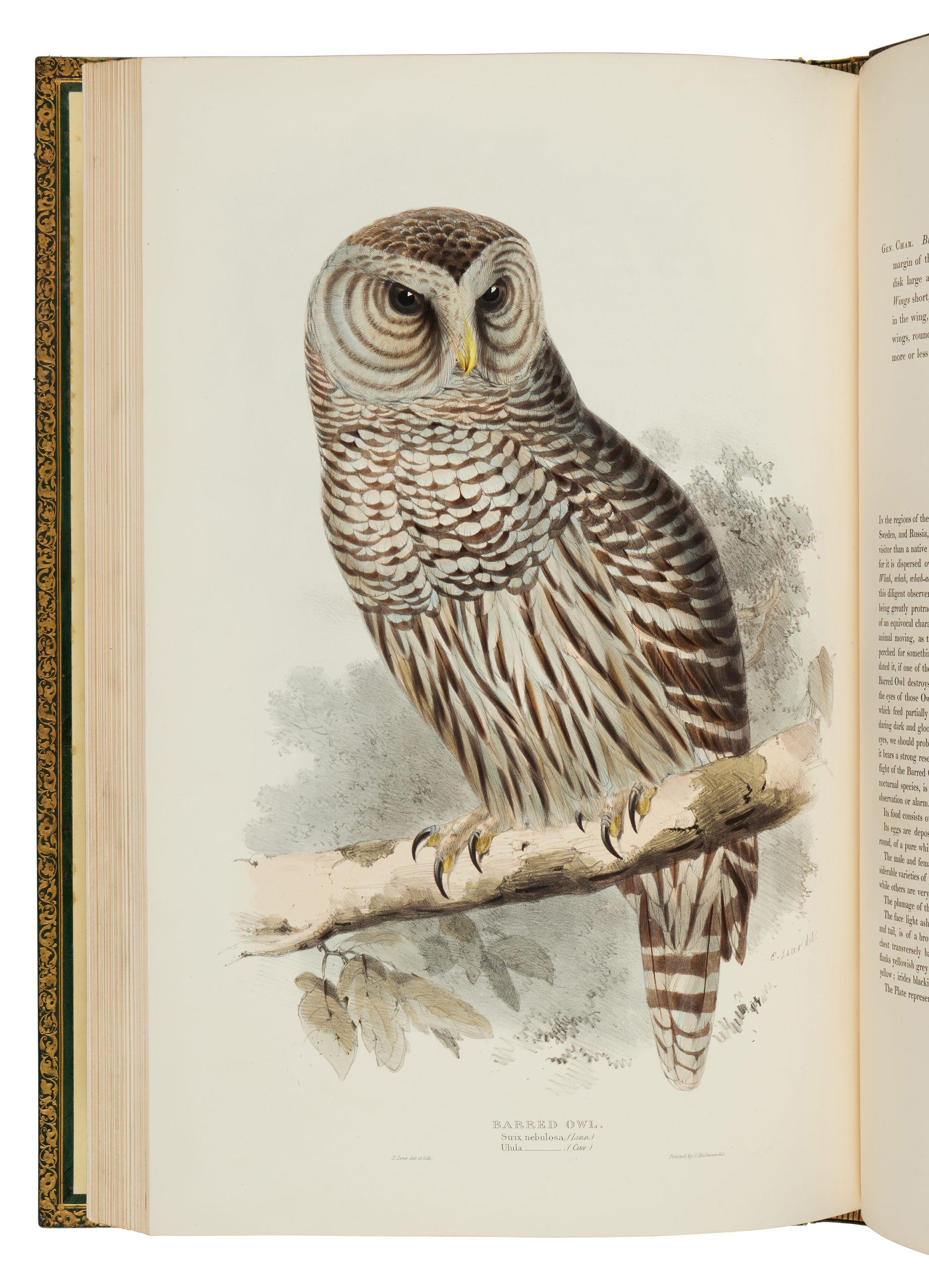 The Birds of Europe