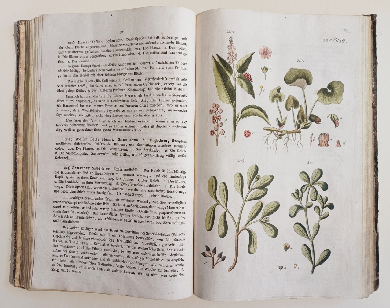 Handbuch der Pharmaceutischen Botanik