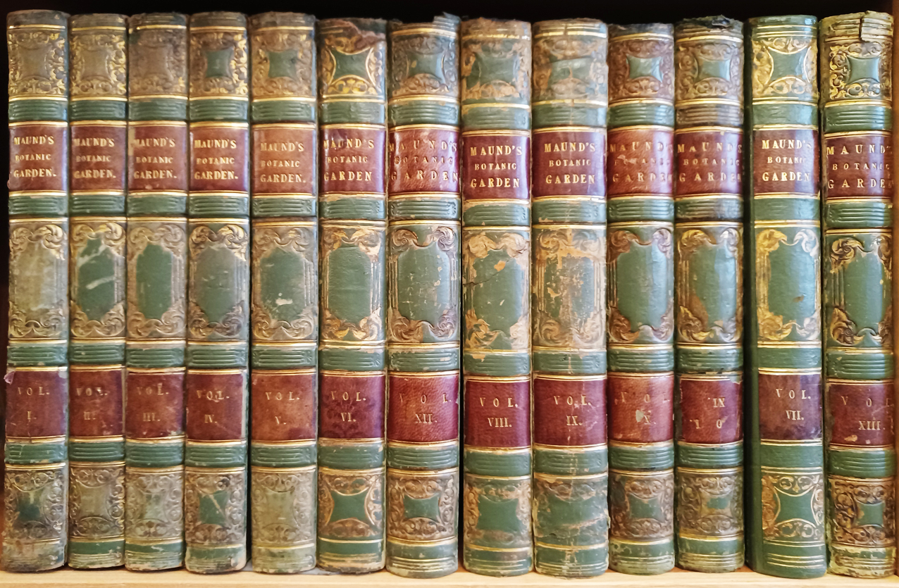 The Botanic Garden, consisting of highly finished representations of hardy ornamental flowering plants, cultivated in Great Britain.