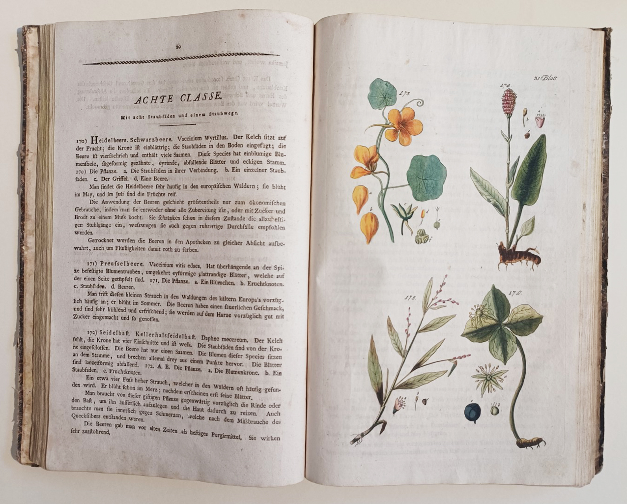 Handbuch der Pharmaceutischen Botanik