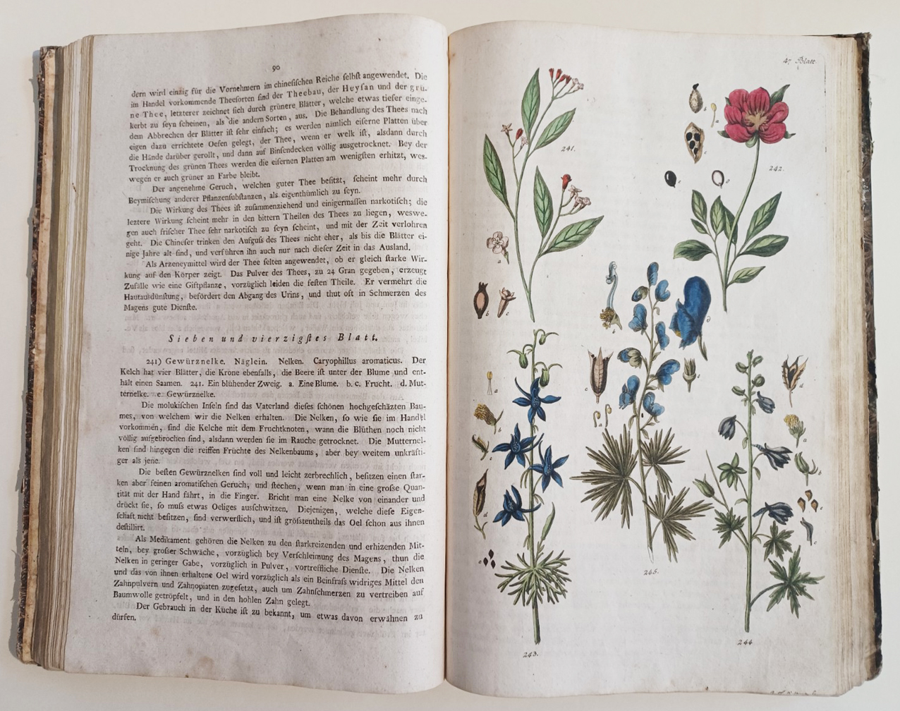 Handbuch der Pharmaceutischen Botanik